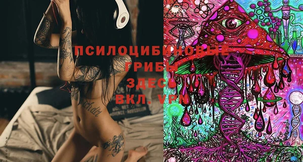 spice Алексин