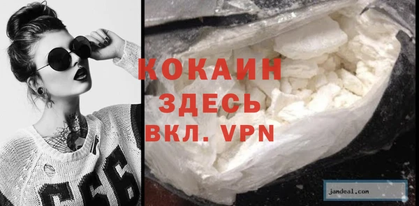 spice Алексин