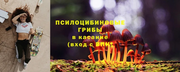 spice Алексин