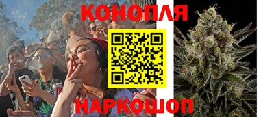 крисы Ярославль